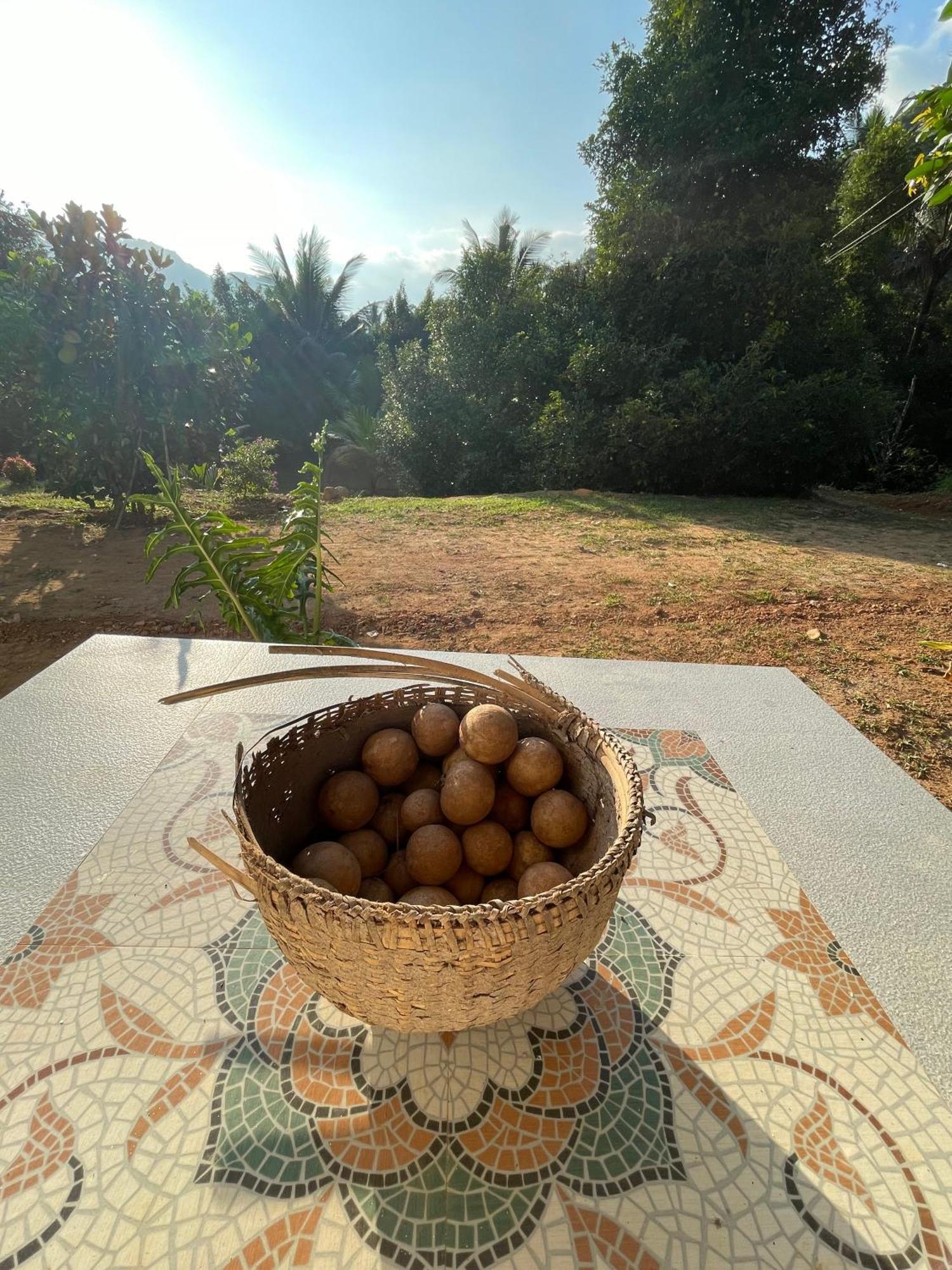 Calm Shack - 2 Bedroom-Boutique Farm Stay Munnar Exterior photo