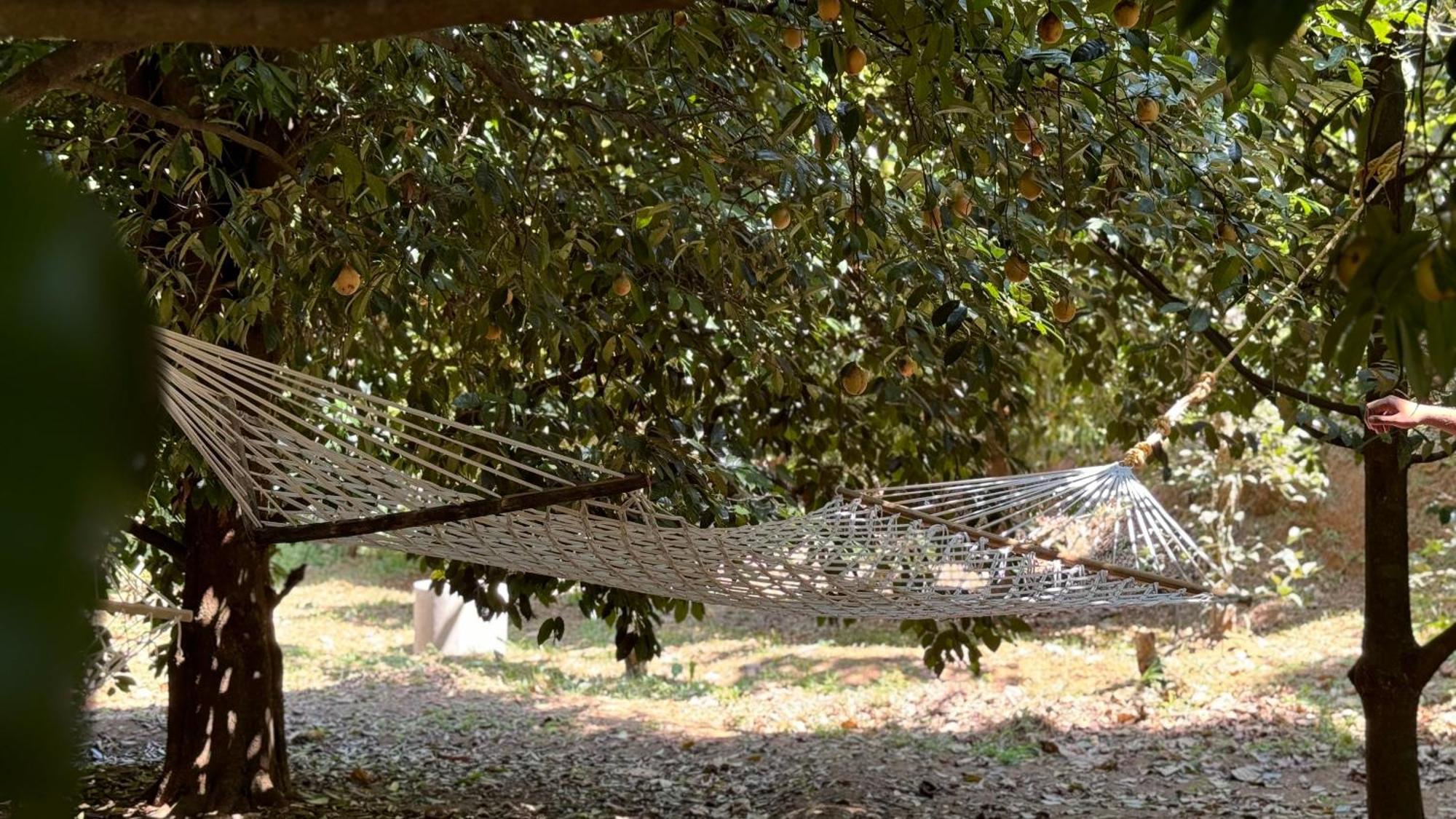 Calm Shack - 2 Bedroom-Boutique Farm Stay Munnar Exterior photo